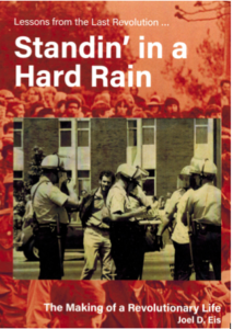 Standing in a Hard Rain book